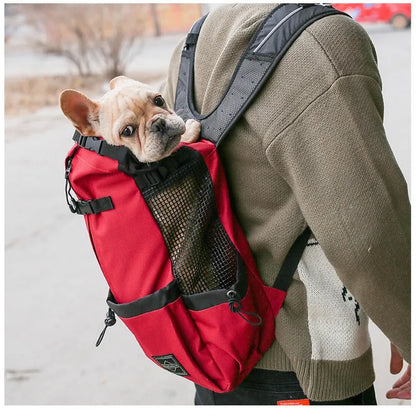 Carry Them Anywhere
