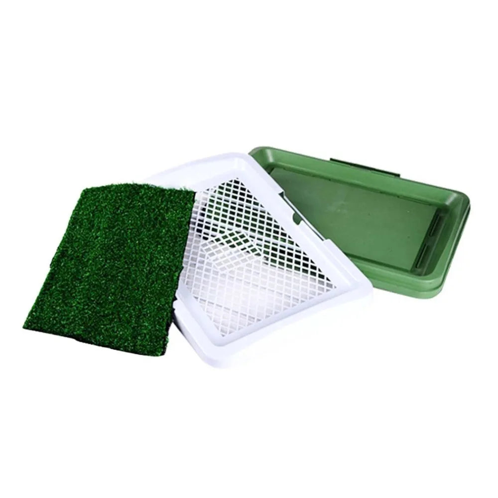 Train on Turf, Not Paper