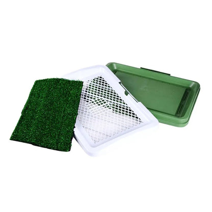 Train on Turf, Not Paper