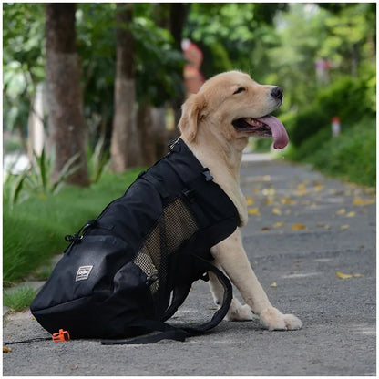 Carry Them Anywhere