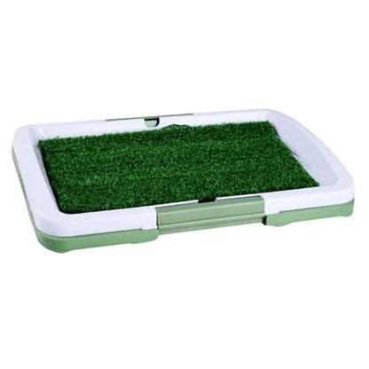 Train on Turf, Not Paper