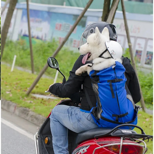 Carry Them Anywhere