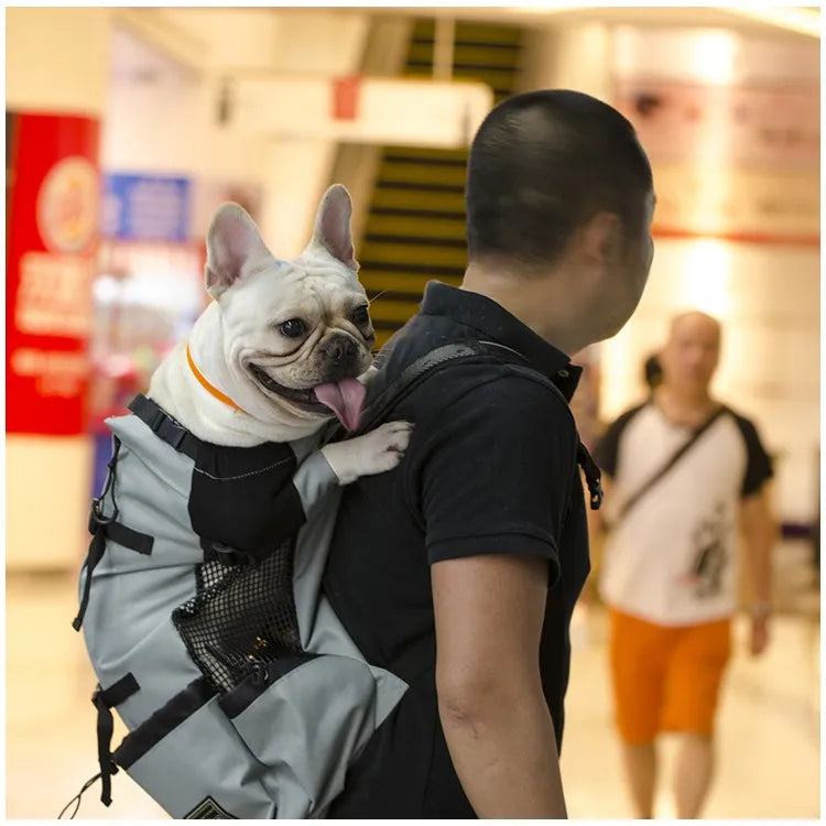 Carry Them Anywhere