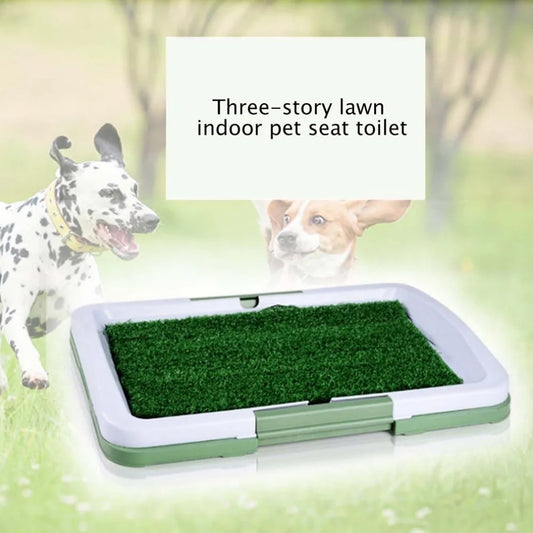 Train on Turf, Not Paper