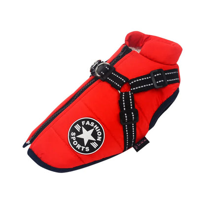 Jacket and Harness in One