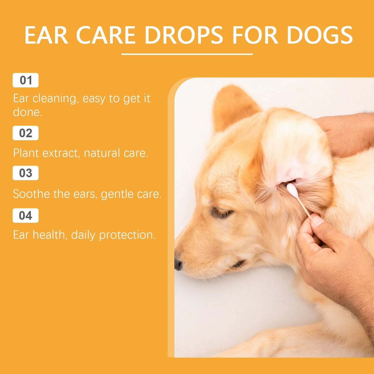 Clean Ears, Fewer Vet Visits