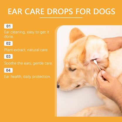 Clean Ears, Fewer Vet Visits