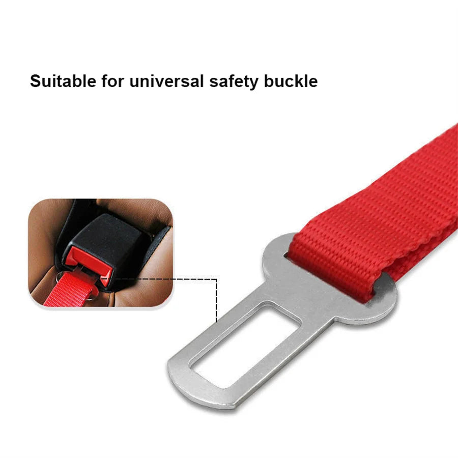 Buckled In, Every Ride