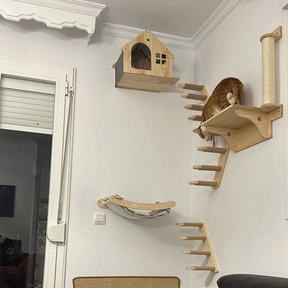 Their Space, Their Rules