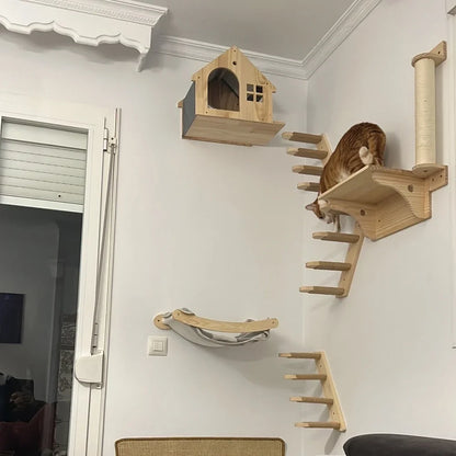 Their Space, Their Rules