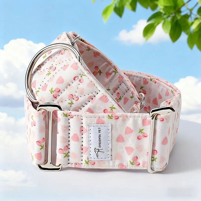 Martingale Dog Collar — Wide Soft Patterned Anti-Pull for Medium Dogs