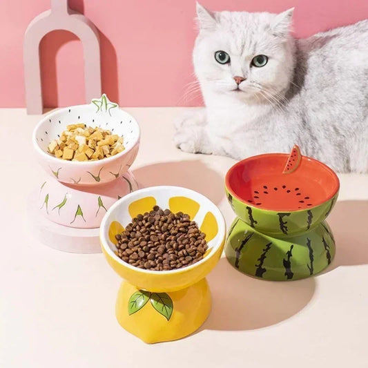 The Elevated Ceramic Bowl That's Actually Good for Them