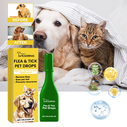 Stop Fleas Before They Start