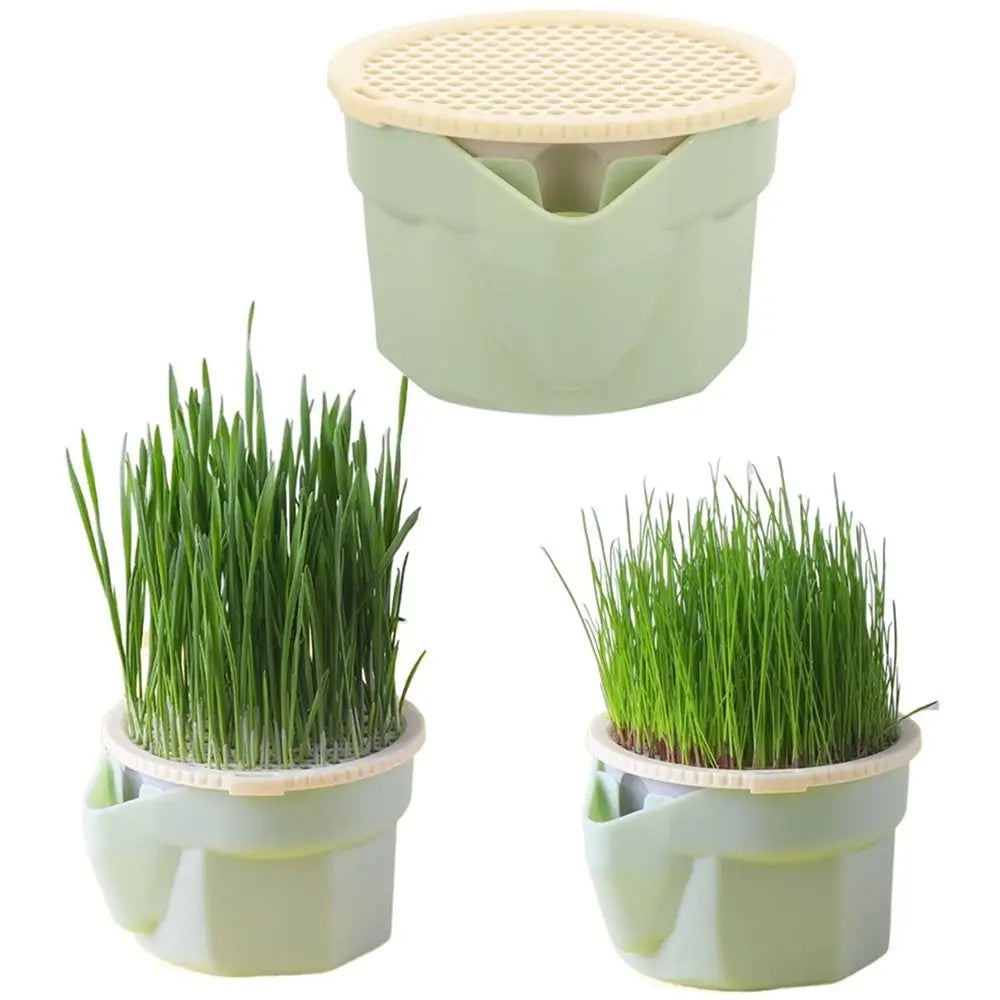 Fresh Grass, No Dirt