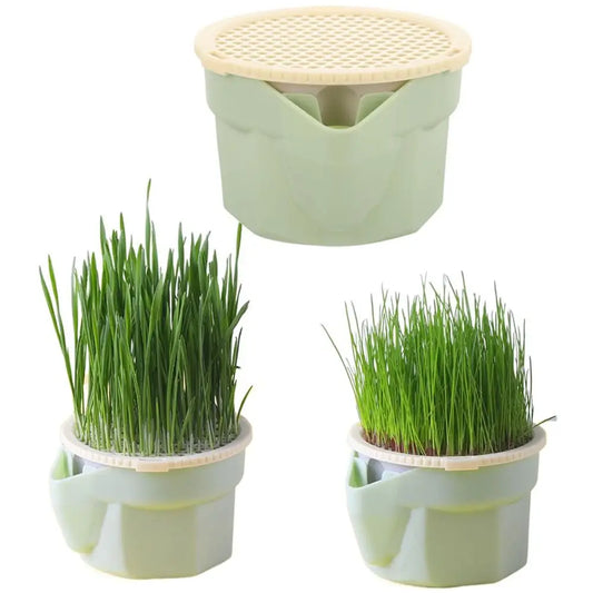 Fresh Grass, No Dirt