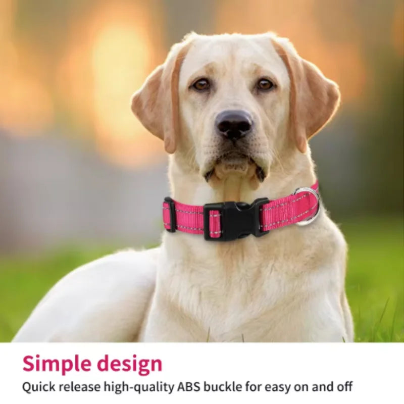 Visible on Every Walk