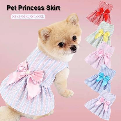 The Flower Dress for Small Dogs Who Know It