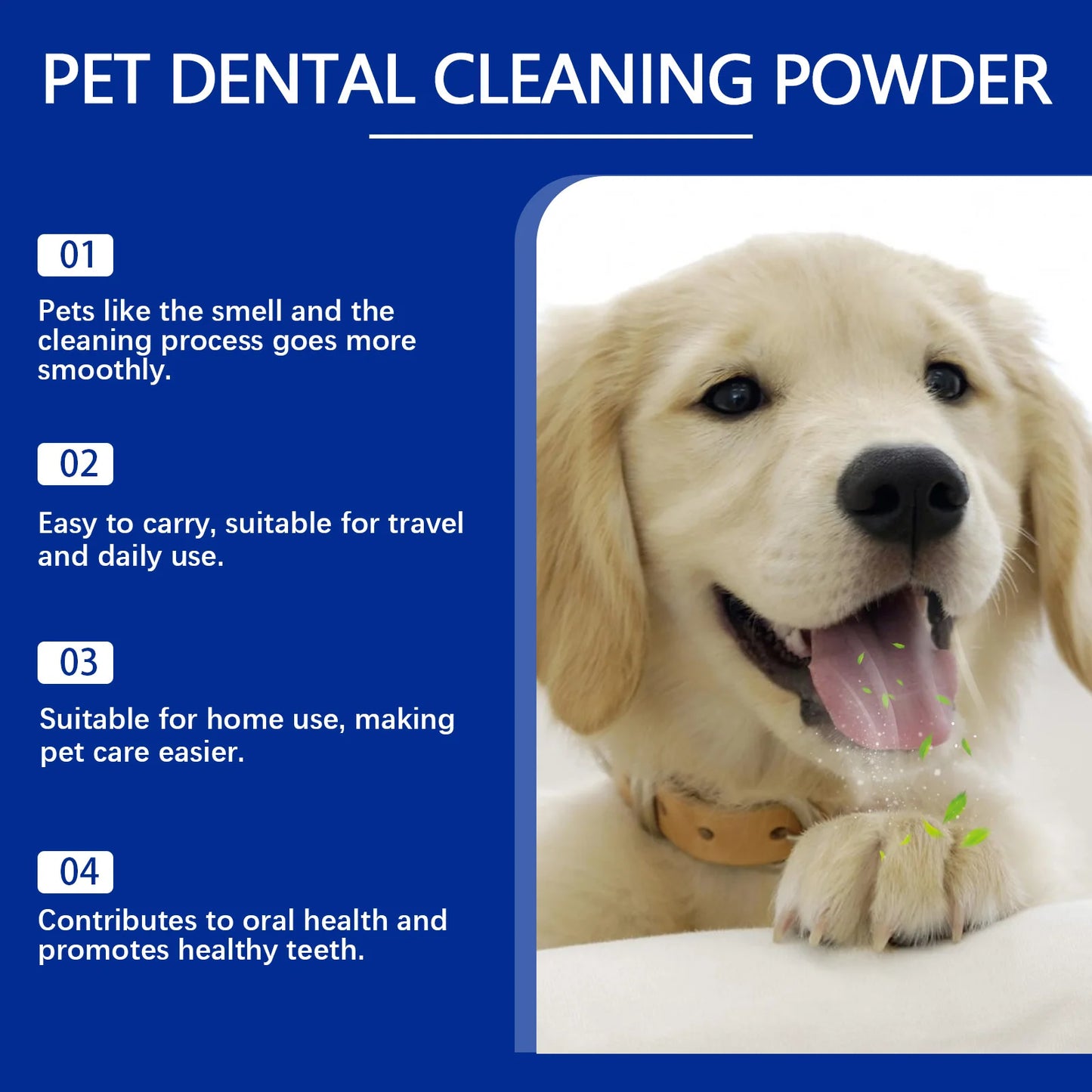 Dental Care Without the Fight
