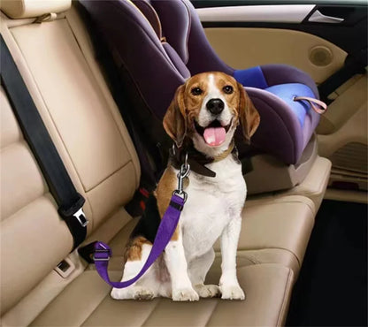 Buckled In, Every Ride