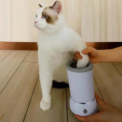 Clean Paws at the Door — Every Time