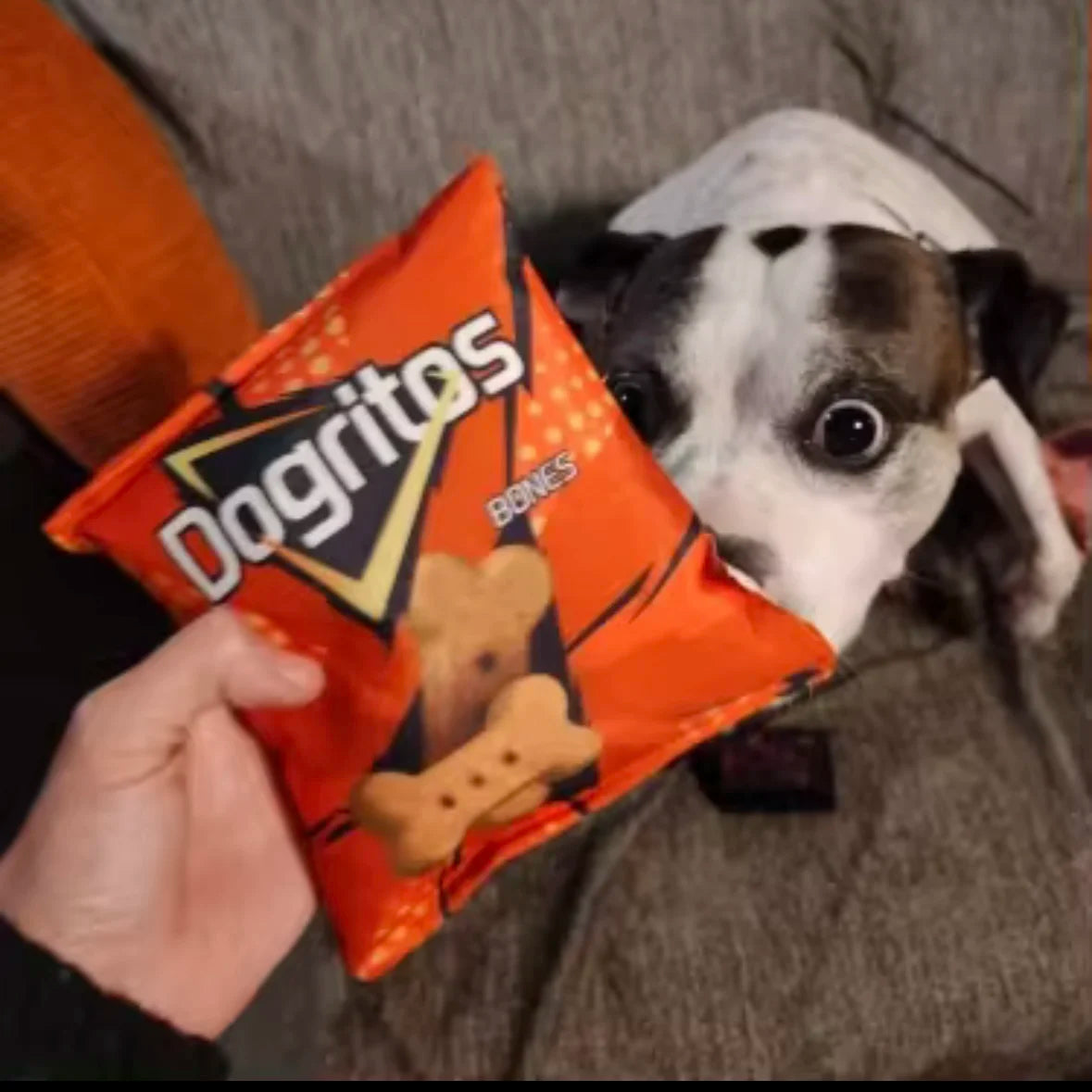 The Chip Bag Toy That Crinkles Like the Real Thing