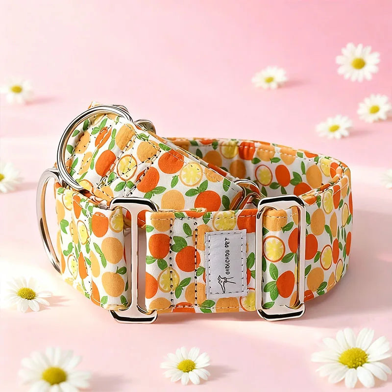 Martingale Dog Collar — Wide Soft Patterned Anti-Pull for Medium Dogs