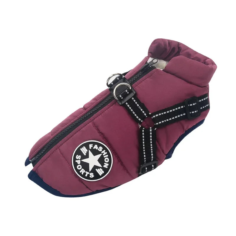 Jacket and Harness in One
