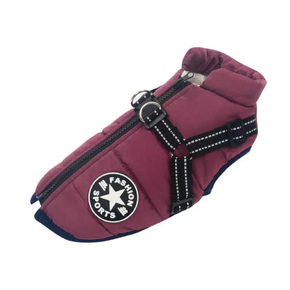 Jacket and Harness in One