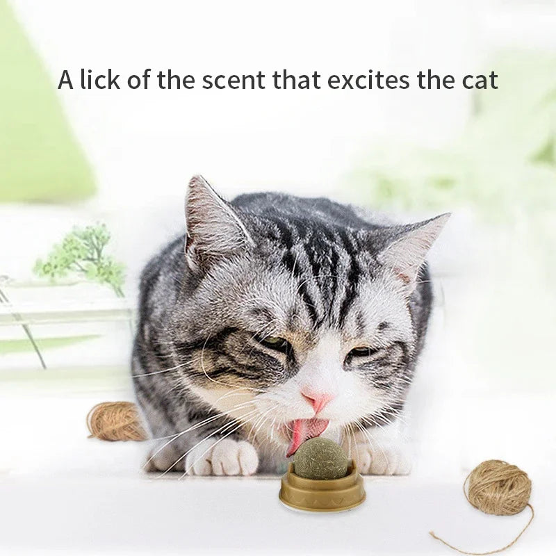Natural Catnip Wall Stick-On Ball Toy for Cats — Digestive Health Treat
