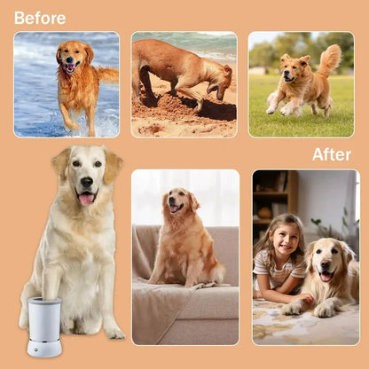 Clean Paws at the Door — Every Time
