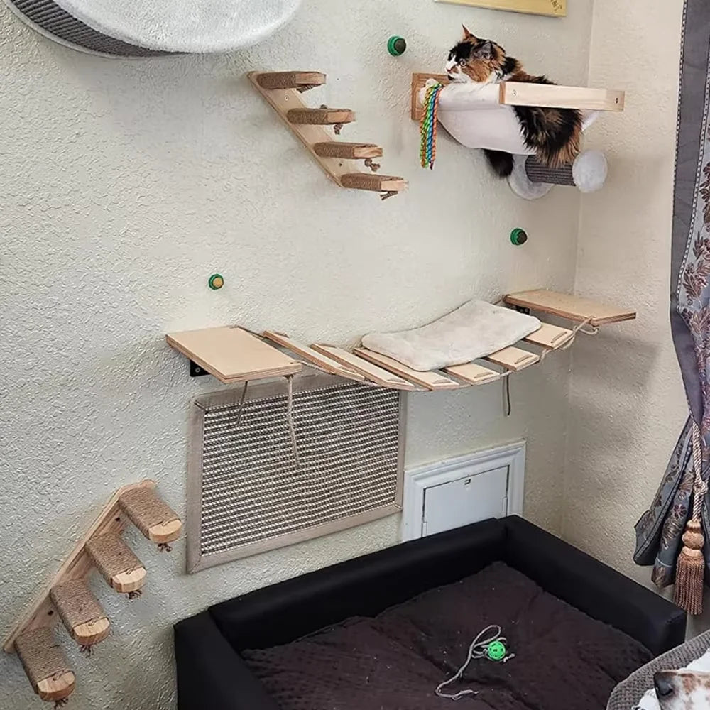 Their Space, Their Rules