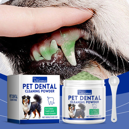 Dental Care Without the Fight