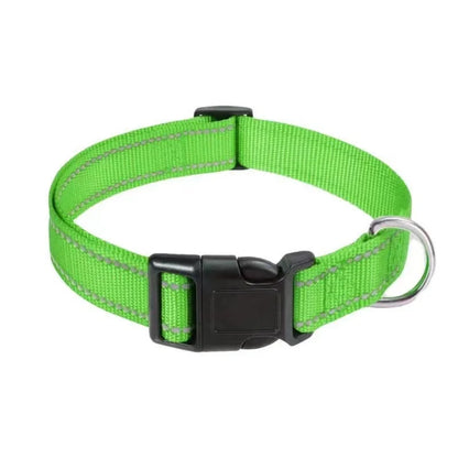 Visible on Every Walk