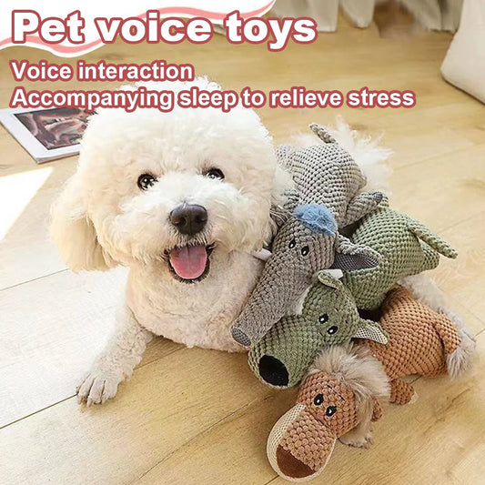 Soft. Squeaky. Loved Immediately.
