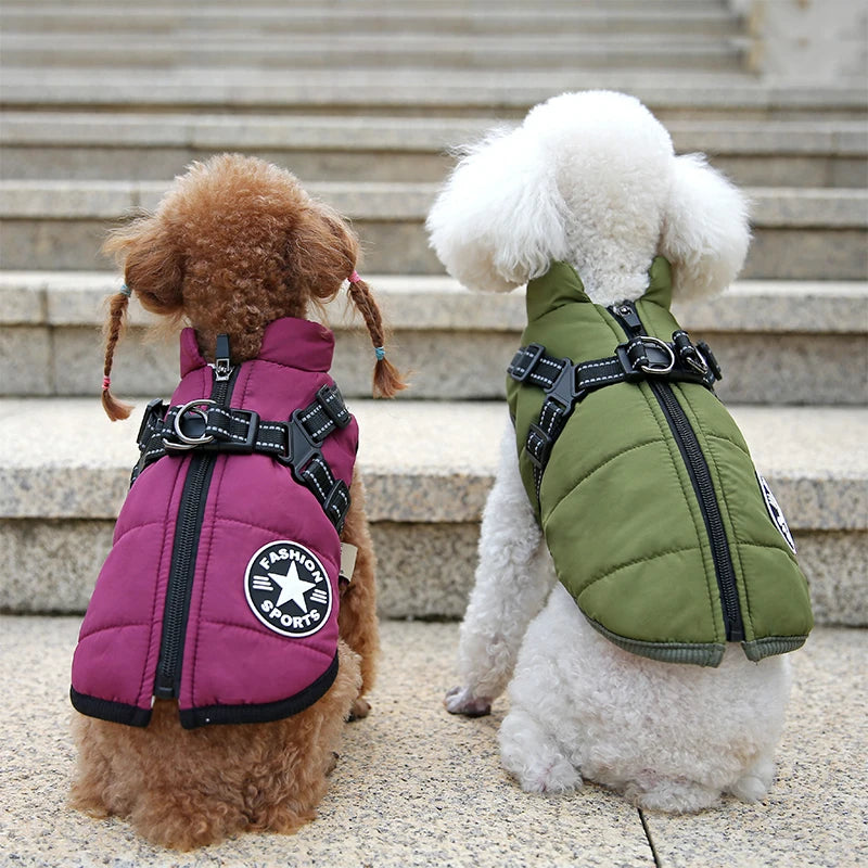 Jacket and Harness in One