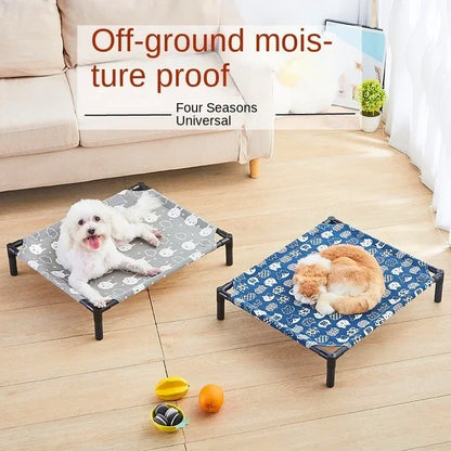 The Bed That Goes Where They Go