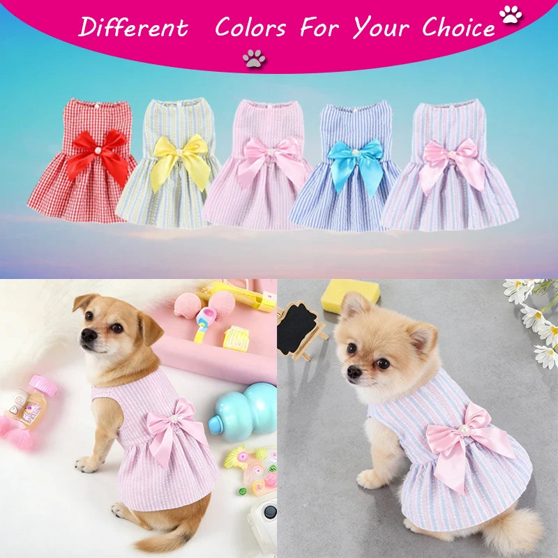 The Flower Dress for Small Dogs Who Know It