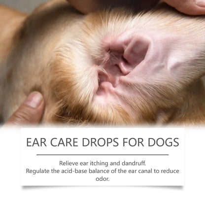 Clean Ears, Fewer Vet Visits