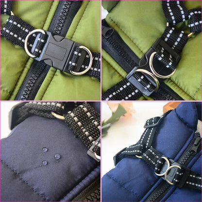 Jacket and Harness in One