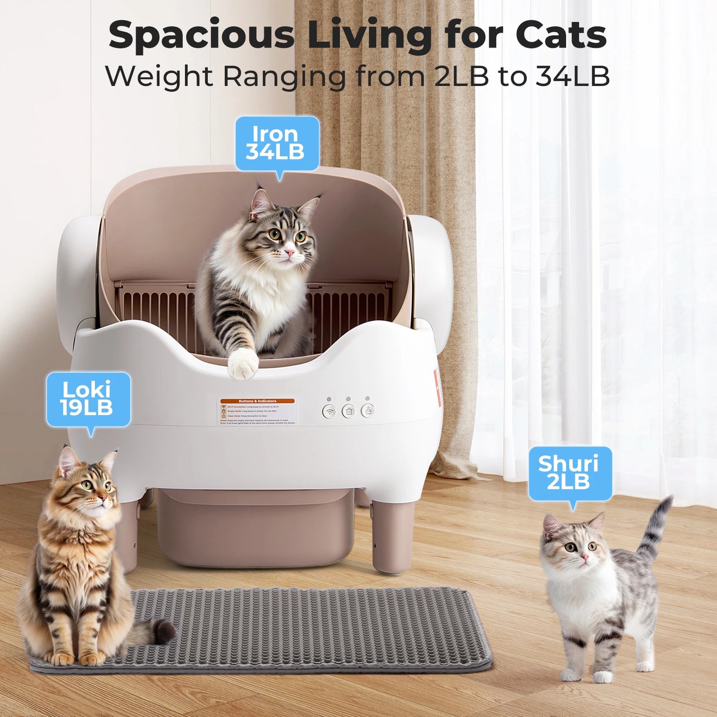 The Litter Box That Does the Work