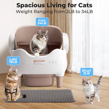 The Litter Box That Does the Work