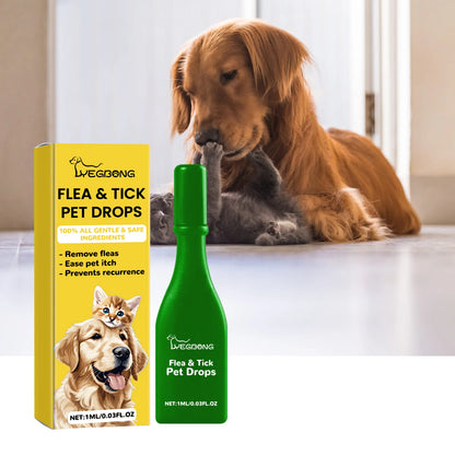 Stop Fleas Before They Start