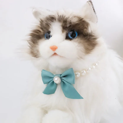 Dressed for the Occasion