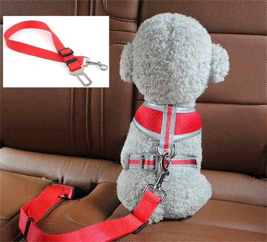 Buckled In, Every Ride