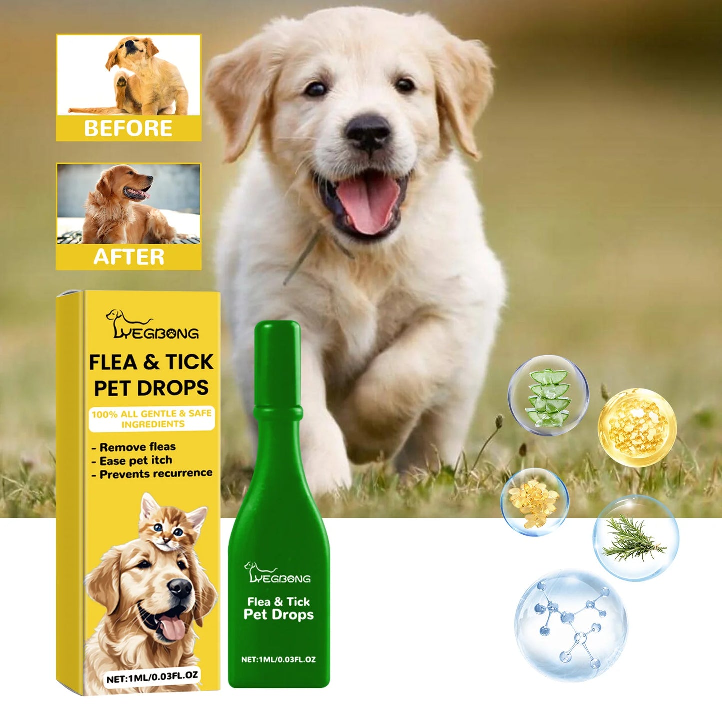 Stop Fleas Before They Start