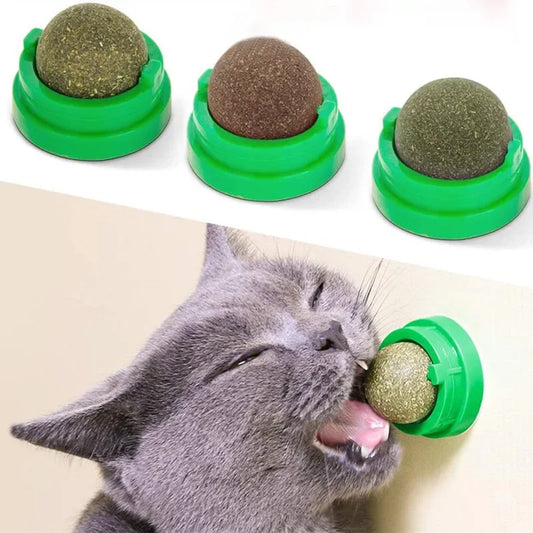 Natural Catnip Wall Stick-On Ball Toy for Cats — Digestive Health Treat