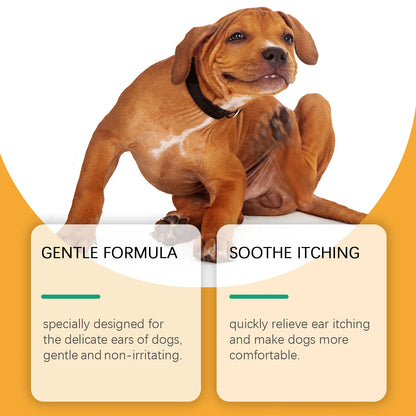 Clean Ears, Fewer Vet Visits