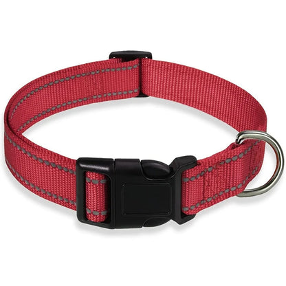 Visible on Every Walk