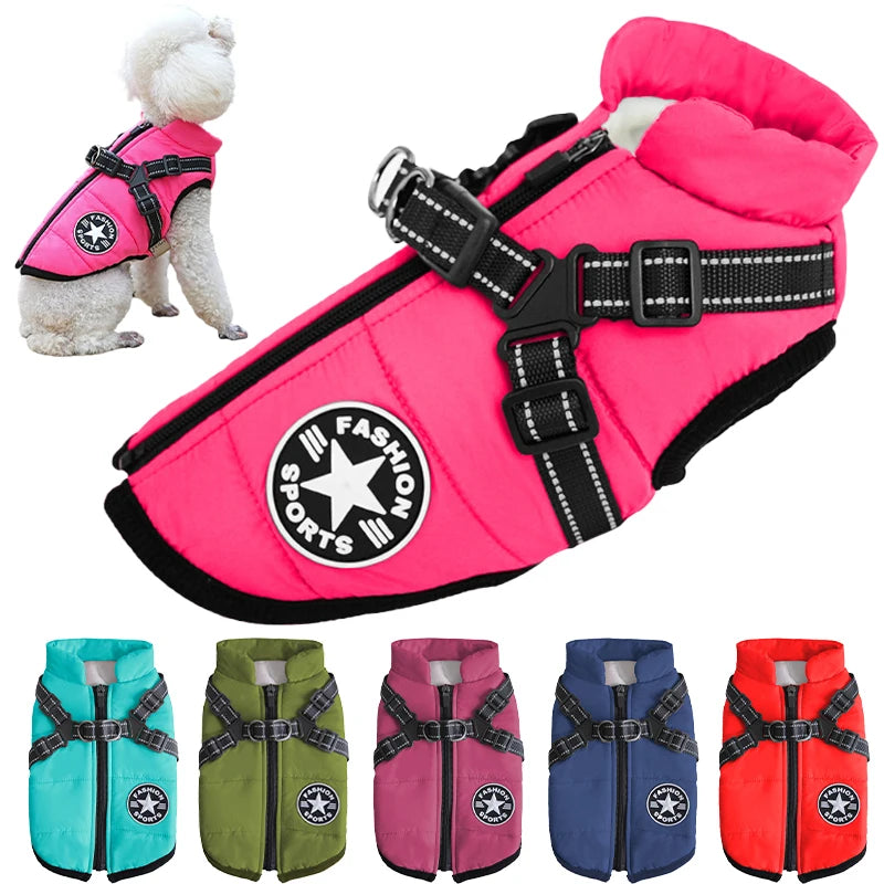 Jacket and Harness in One