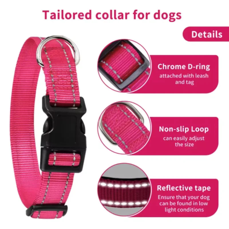 Visible on Every Walk